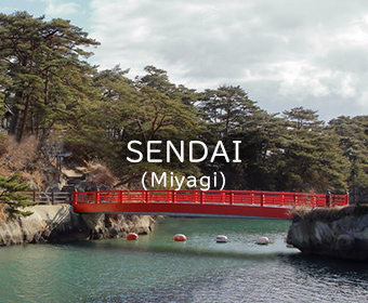 Viaggio a Sendai (Prefettura di Miyagi)